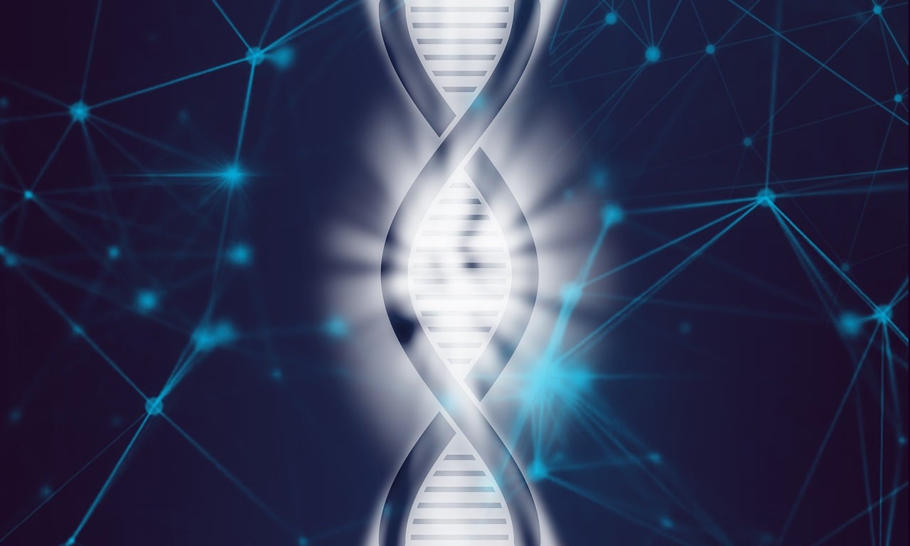dna, life, biotechnology, evolution, biology, science, medical, technology, molecular, genetic, scientific, gene, genome, human, helix, biochemistry, blue technology, blue medical, blue life, blue science, blue human, dna, dna, dna, dna, dna, biotechnology, gene, genome