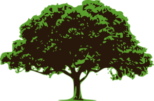 vector tree, tree, nature, green tree, forest, trees, green, dark, vector tree, vector tree, vector tree, vector tree, vector tree, tree