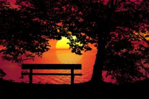 sunset, bench, trees, landscape, solitude, nature, evening, black sunset, black natural, bench, solitude, solitude, solitude, solitude, solitude