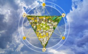flowers, albedo, moon, concept, alchemy, hexagram, triangle, white, green, blue, philosopher's stone, circle, star, yellow, hope, clear, the union, crystal, fulfilment, purity, intuition, androgynous, occultism, the cabal, ben, alchemy, intuition, intuition, intuition, intuition, intuition