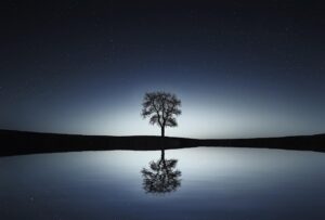 tree, lake, reflection, night sky, silhouettes, tree silhouette, single tree, nature, water reflection, mirroring, mirror image, starry night, starry sky, calm water, stars