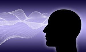 thought, brain, mind, idea, head, think, knowledge, cranium, thinking, ideas, psychology, understand, computation, brain, mind, understand, understand, understand, understand, understand