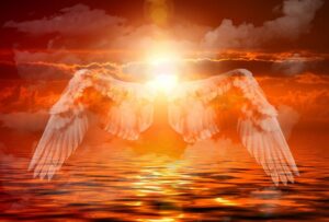 angel, wing, feathers, heavenly, god, mystical, in the sky, in heaven, sun, heaven, nature, mood, orange